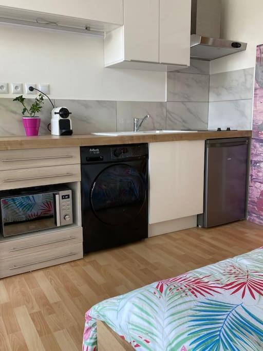 Ferienwohnung Le Cosy Tassin - Rez De Jardin Exterior foto